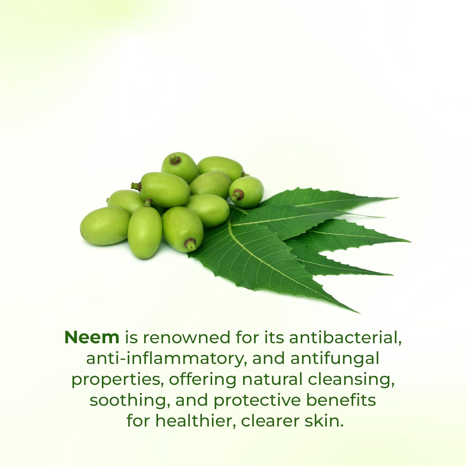 Elois Neem Purifying Face Wash Deep nourishment and Hydration for Radiant Skin Naturally, Remove Excess Oil, For Men & Women 100gm