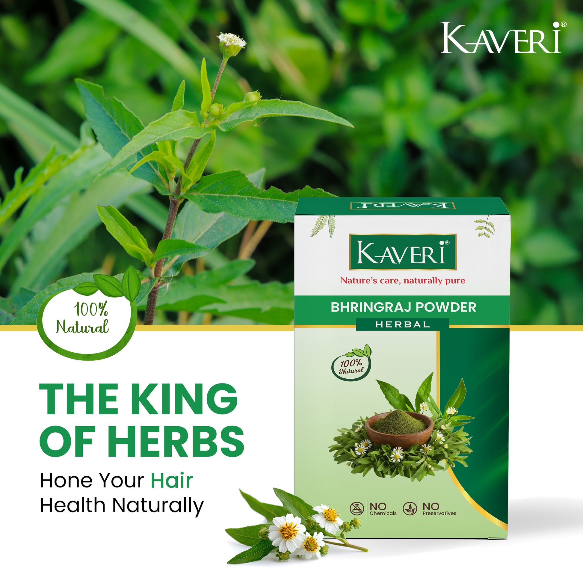 Kaveri Bhringraj Powder for Hair Growth & Scalp Care | Natural Herbal Powder | Helps Reduce Hair Fall & Dandruff | Chemical & Preservative Free | Ayurvedic Hair Care Powder 200g