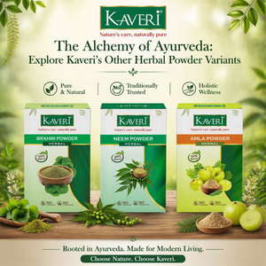 Kaveri Tulsi Powder for Skin & Hair Care | Natural Holy Basil Powder | Herbal Face Pack & Hair Mask | Helps Control Dandruff & Refresh Skin | Chemicals & Preservatives Free 200g
